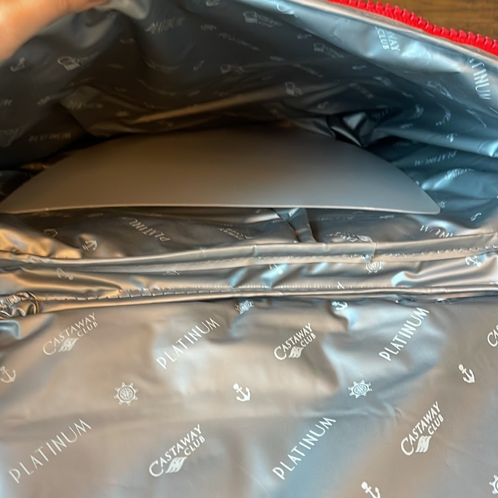 DISNEY CRUISE LINE CASTAWAY CLUB PLATINUM COOLER BACKPACK - Picture 3 of 3